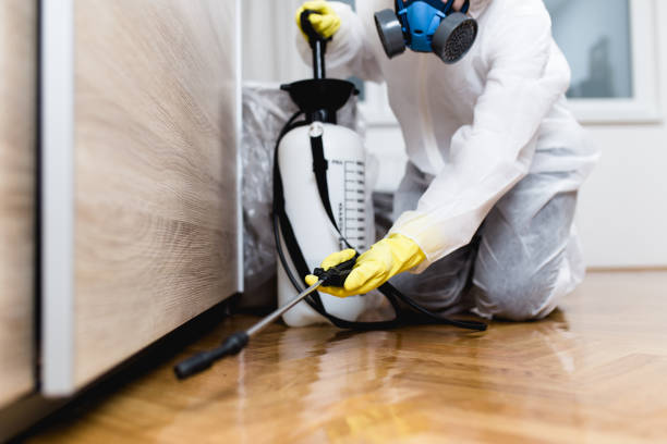 Best Local Pest Control Services  in Smithfield, VA