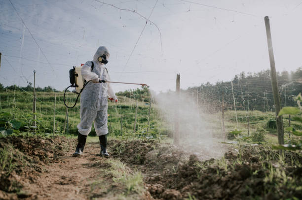 Best Best Pest Control Companies  in Smithfield, VA
