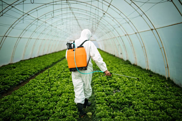 Best Pest Prevention Services  in Smithfield, VA