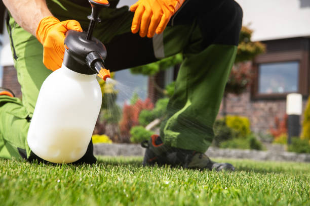 Best Cockroach Control Services  in Smithfield, VA