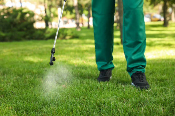 Best Flea Control Services  in Smithfield, VA
