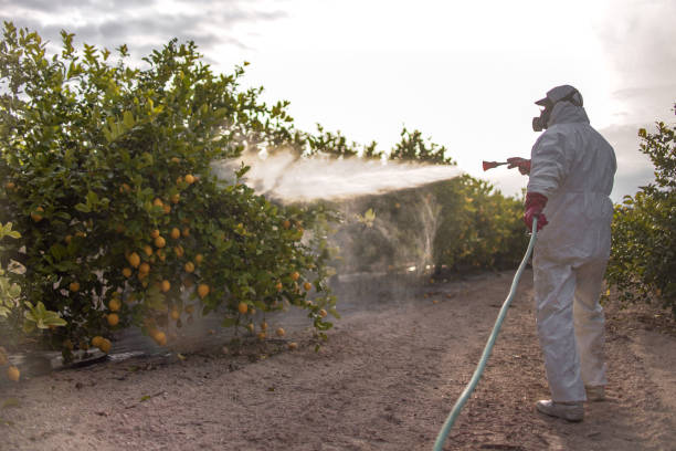 Best Best Pest Control Companies  in Smithfield, VA