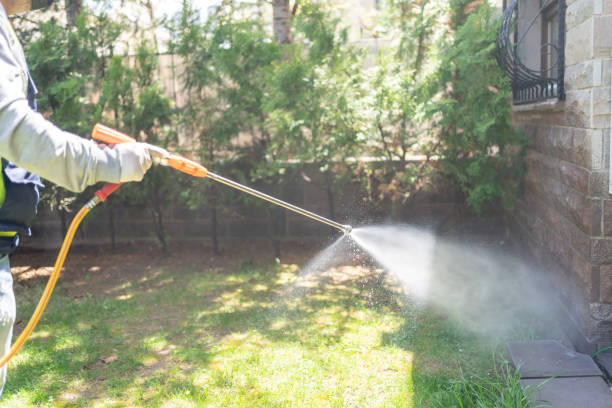 Best Emergency Pest Control  in Smithfield, VA