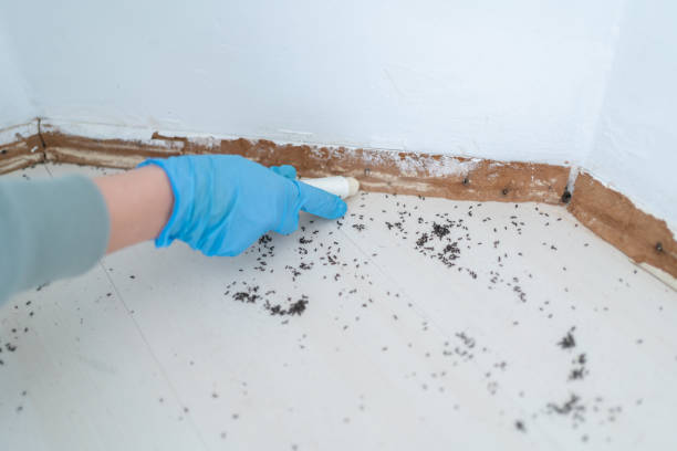  Smithfield, VA Pest Control Pros