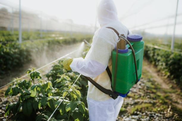 Best Ant Control Services  in Smithfield, VA
